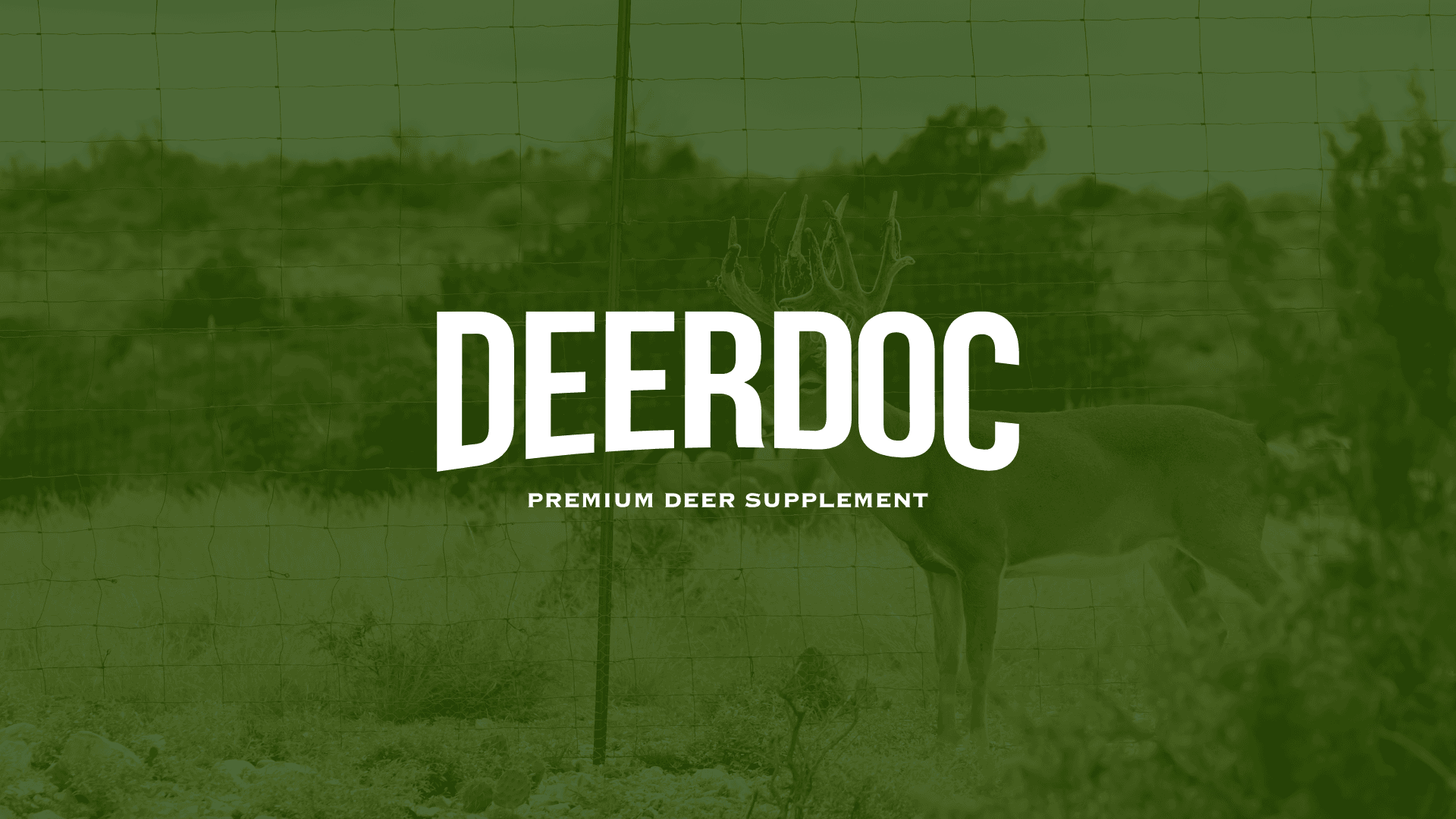 DeerDoc